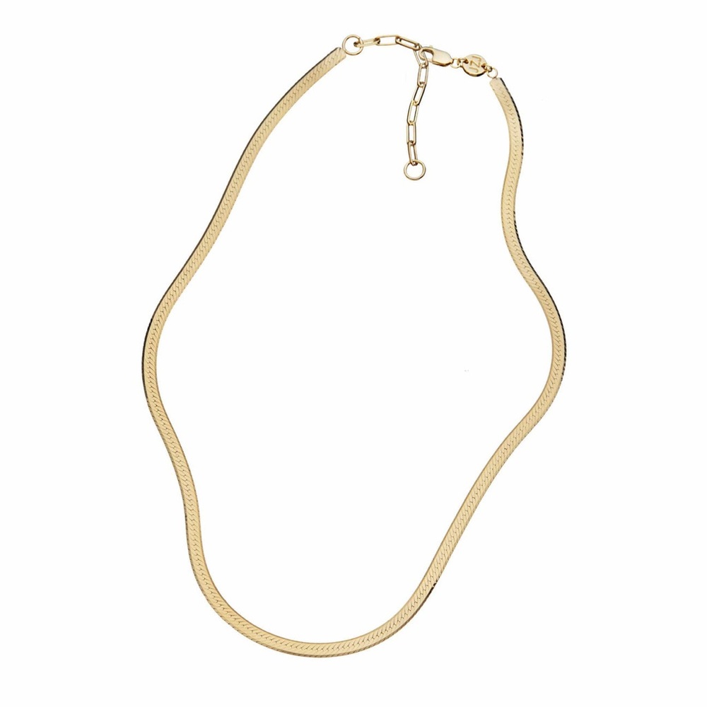 NWT Jennifer Zeuner Karli Necklace